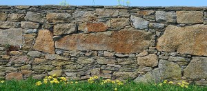 Fotograaf: Miguel Saavedra, via Stock.xchng