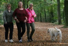 annejosejuditoktober2014