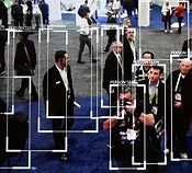 Rathenau Instituut-bijg