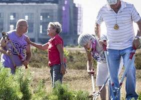 DemenTalent1-bijg-50p