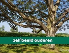 oude boom-bijg-30p-50p